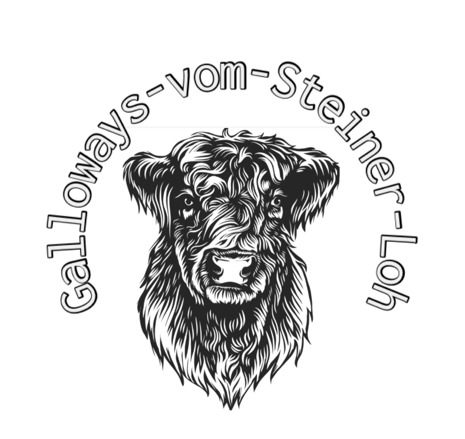 Galloways vom Steiner Loh<br>